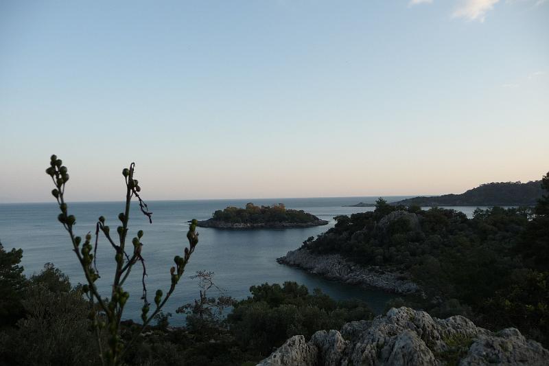 P1000229.JPG