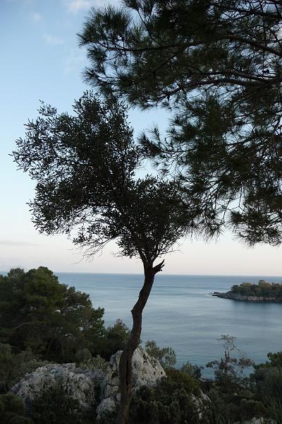 P1000230.JPG