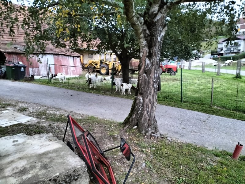 IMG20220924185700