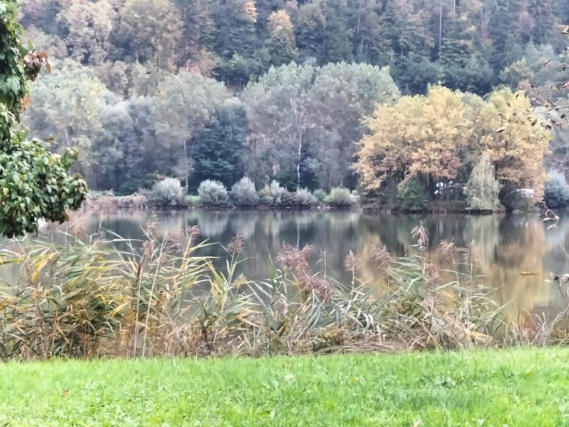 IMG20221001175942