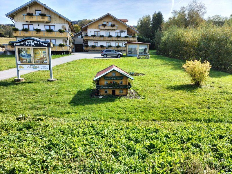IMG20221005115615