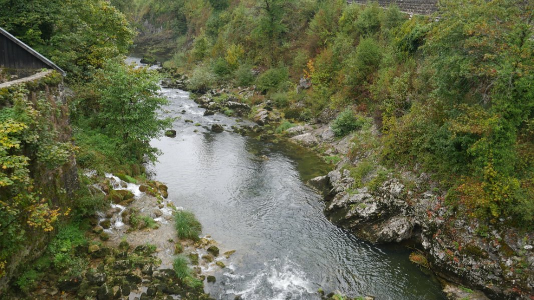 P1050267