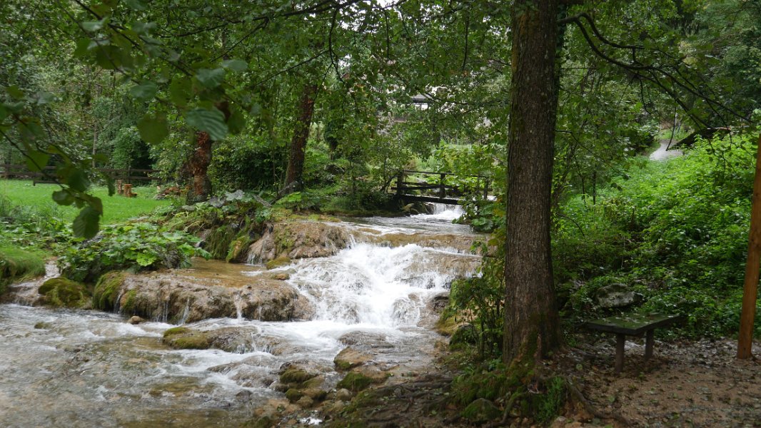 P1050281
