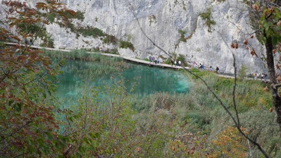P1050336