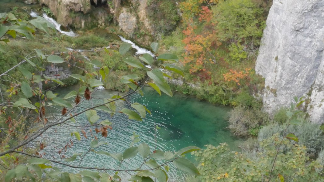 P1050337