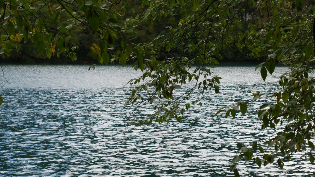 P1050344