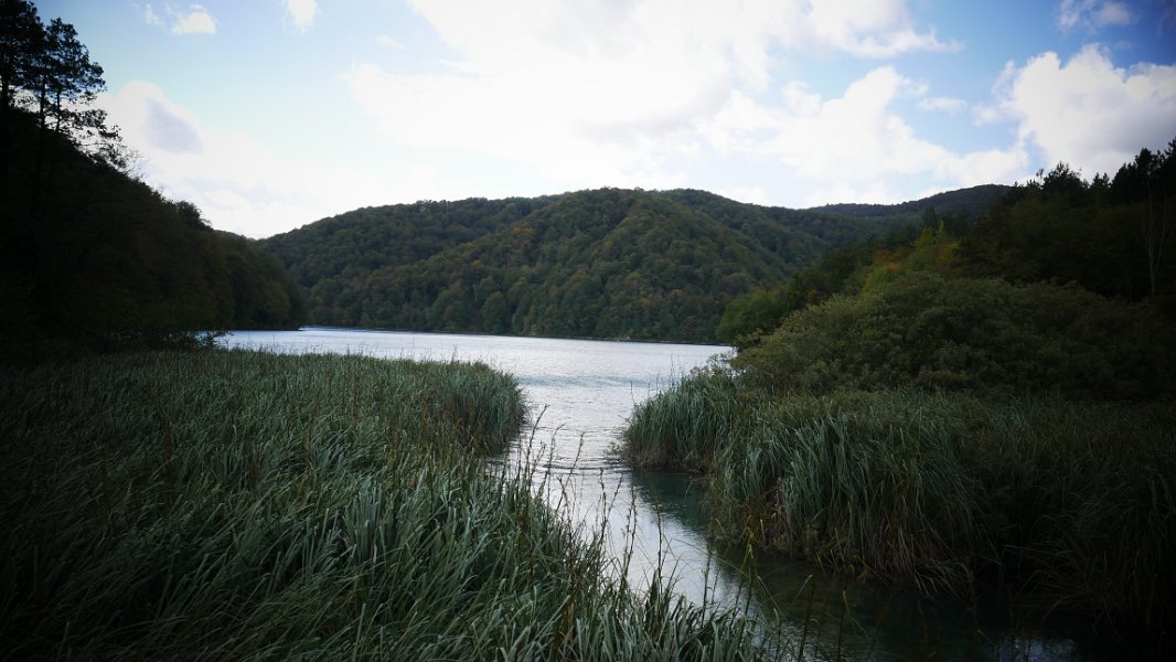 P1050353