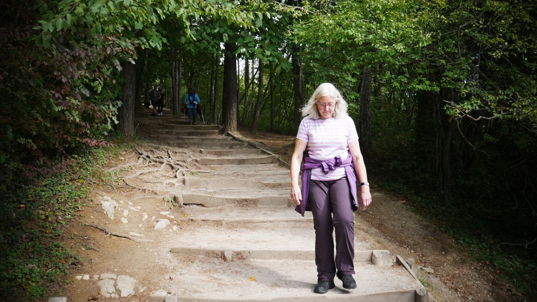 P1050354