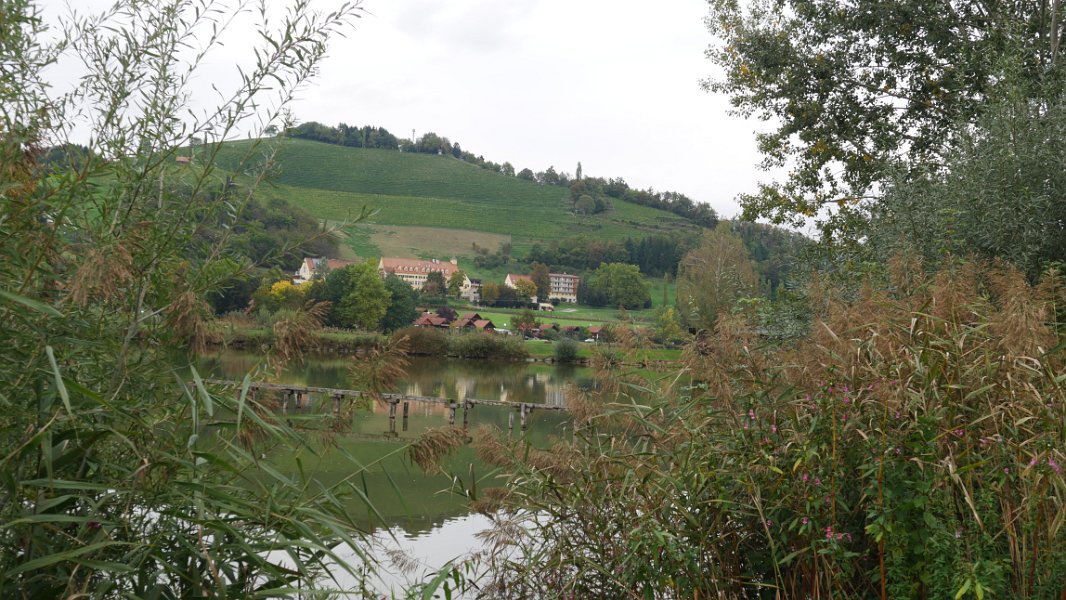 P1050365