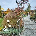 IMG20221004112156