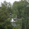 P1050385