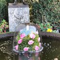 IMG20221030123630