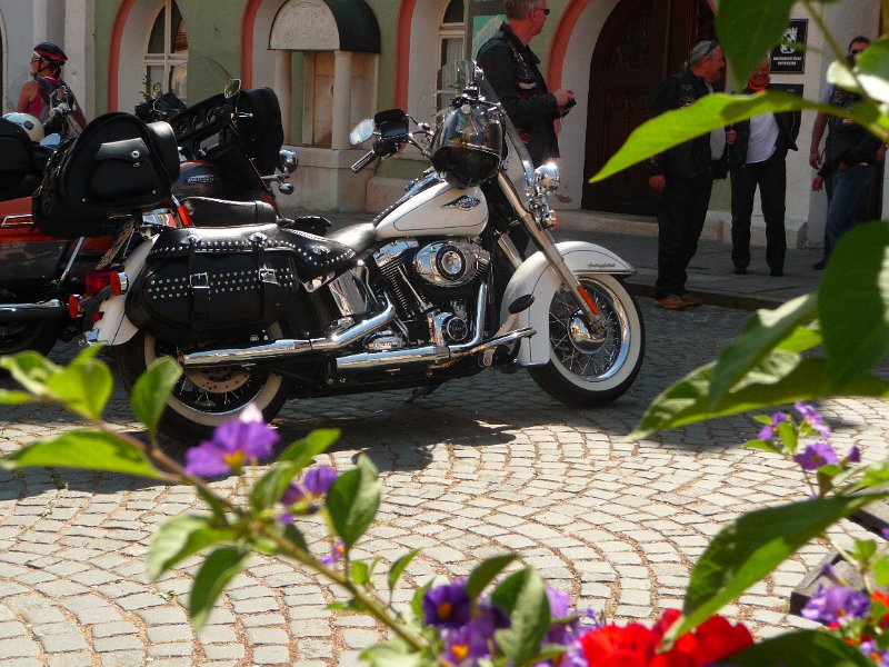 P1050548.JPG