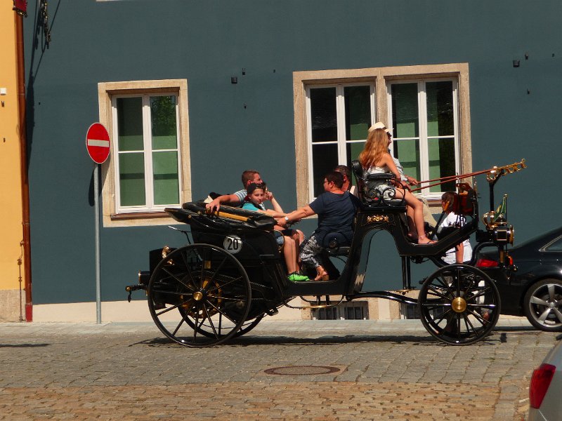 P1050564.JPG