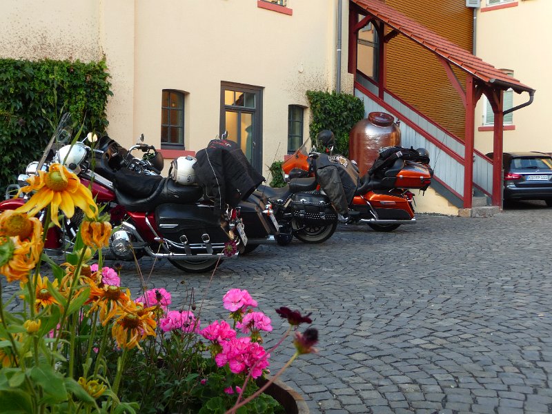 P1050577.JPG