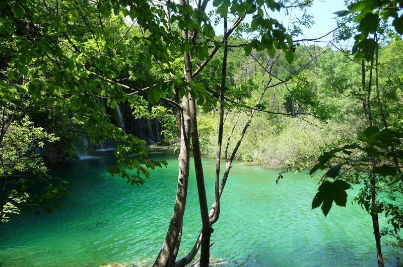 P1030910.JPG