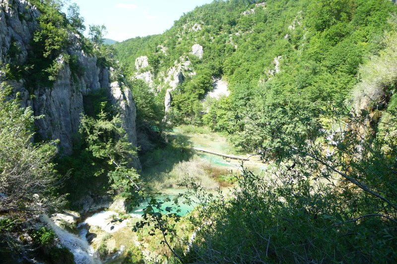 P1030924.JPG