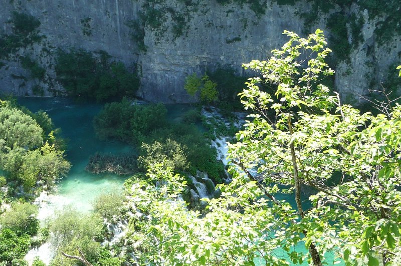 P1030931.JPG