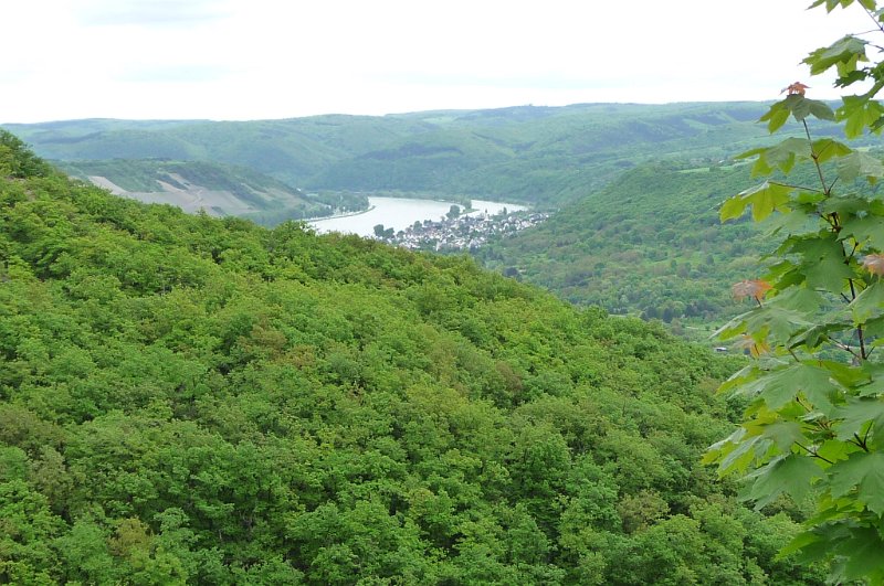 P1020682.JPG