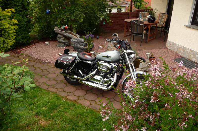 P1020749.JPG