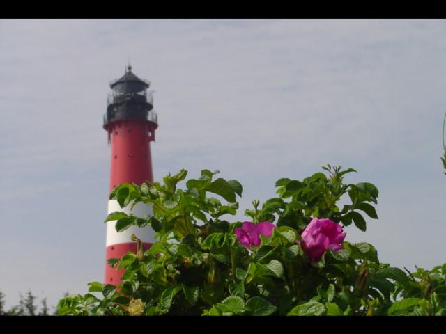 Dsc01102.jpg