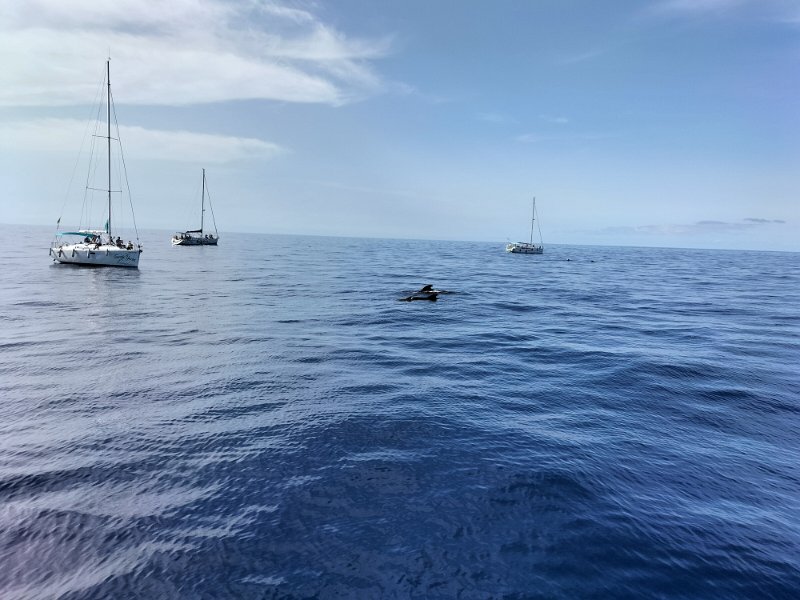 IMG20231112105542