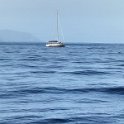 IMG20231112103929